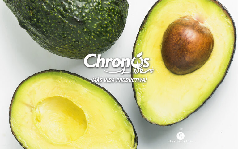 PORTADA-WEB-AGUACATE