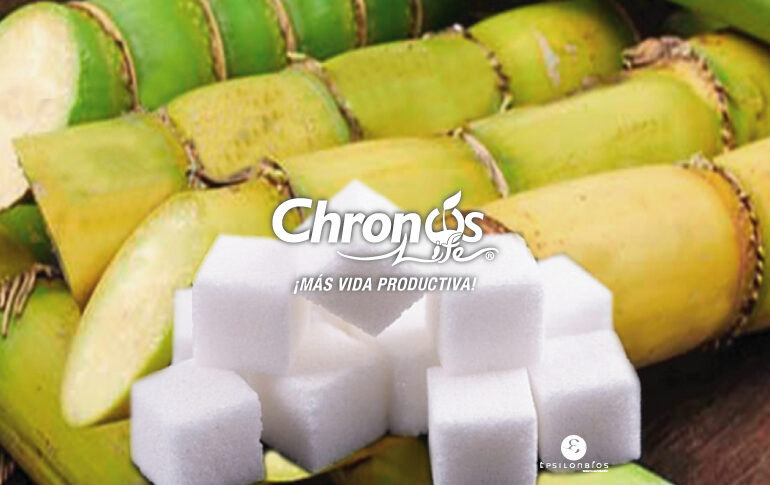 PORTADA-WEB-CAÑA