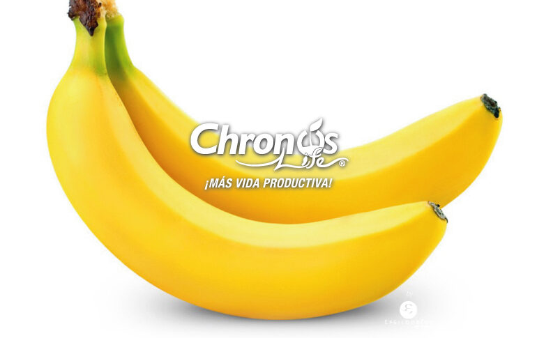 PORTADA-WEB-BANANO