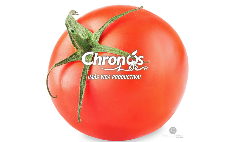 PORTADA-WEB-TOMATE